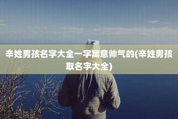 辛姓男孩名字大全一字寓意帅气的(辛姓男孩取名字大全)
