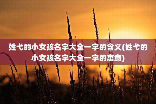 姓弋的小女孩名字大全一字的含义(姓弋的小女孩名字大全一字的寓意)