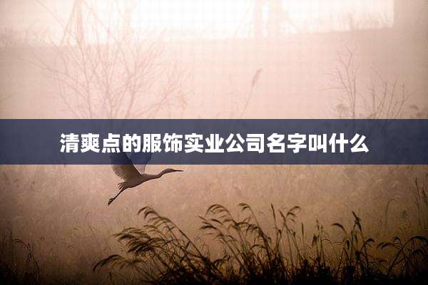 清爽点的服饰实业公司名字叫什么