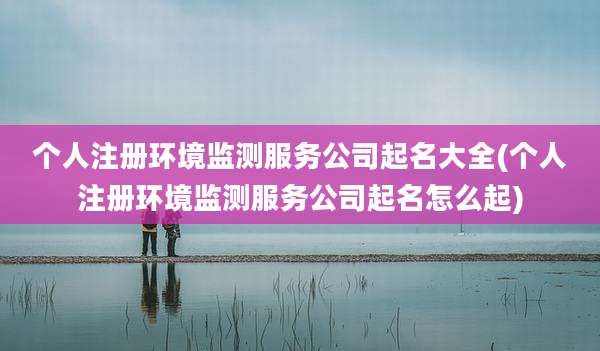 个人注册环境监测服务公司起名大全(个人注册环境监测服务公司起名怎么起)