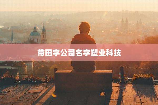 带田字公司名字塑业科技