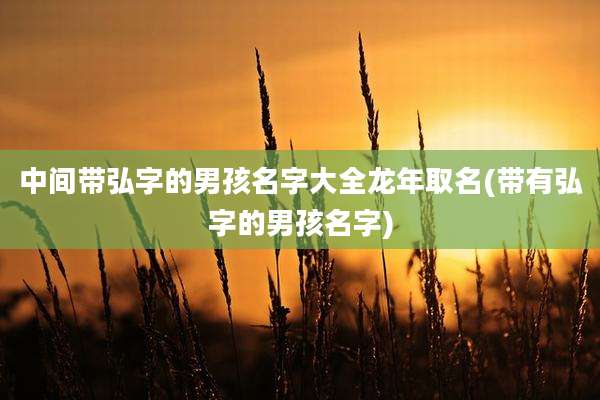 中间带弘字的男孩名字大全龙年取名(带有弘字的男孩名字)