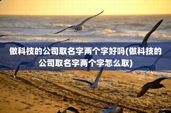 做科技的公司取名字两个字好吗(做科技的公司取名字两个字怎么取)