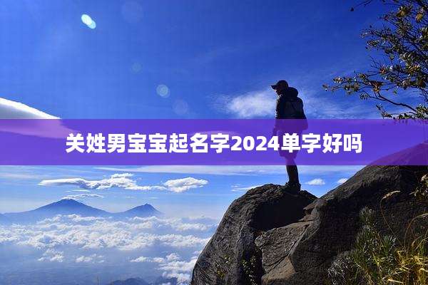 关姓男宝宝起名字2024单字好吗