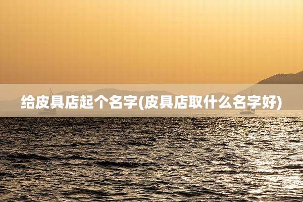 给皮具店起个名字(皮具店取什么名字好)