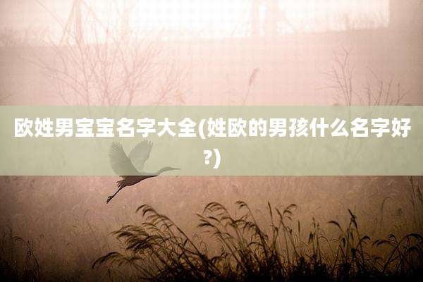 欧姓男宝宝名字大全(姓欧的男孩什么名字好?)