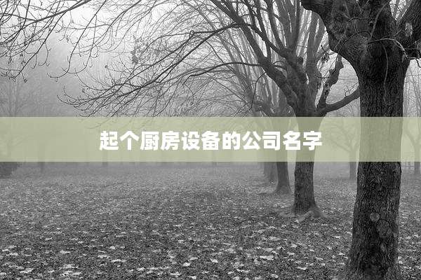 起个厨房设备的公司名字