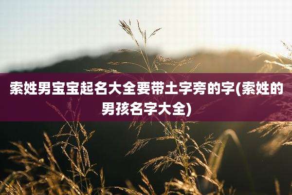 索姓男宝宝起名大全要带土字旁的字(索姓的男孩名字大全)
