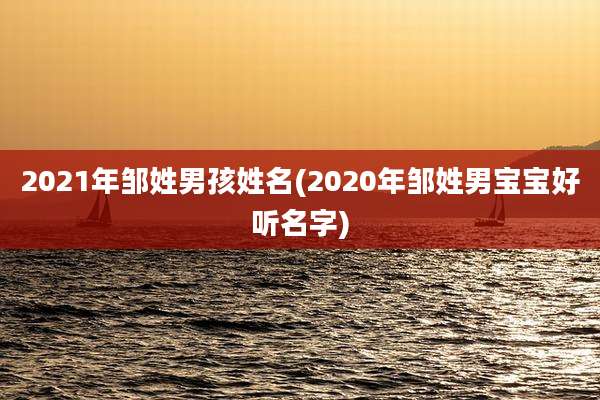 2021年邹姓男孩姓名(2020年邹姓男宝宝好听名字)
