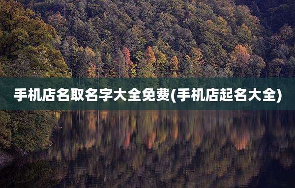 手机店名取名字大全免费(手机店起名大全)