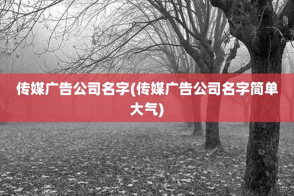 传媒广告公司名字(传媒广告公司名字简单大气)