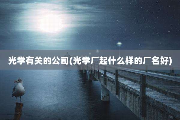 光学有关的公司(光学厂起什么样的厂名好)