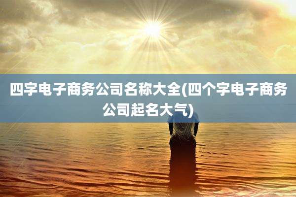 四字电子商务公司名称大全(四个字电子商务公司起名大气)