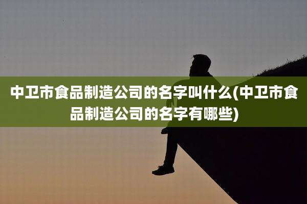中卫市食品制造公司的名字叫什么(中卫市食品制造公司的名字有哪些)