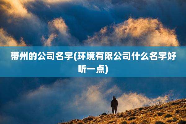 带州的公司名字(环境有限公司什么名字好听一点)