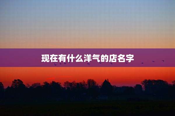 现在有什么洋气的店名字