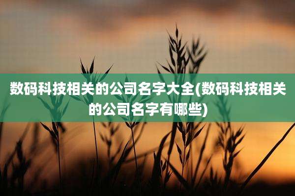 数码科技相关的公司名字大全(数码科技相关的公司名字有哪些)
