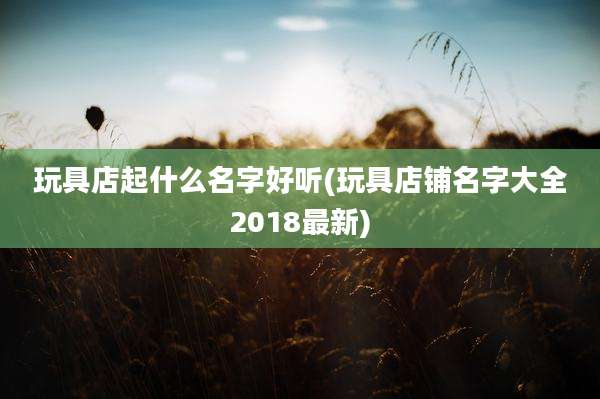 玩具店起什么名字好听(玩具店铺名字大全2018最新)