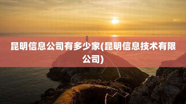 昆明信息公司有多少家(昆明信息技术有限公司)