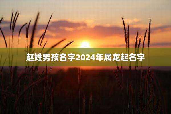 赵姓男孩名字2024年属龙起名字