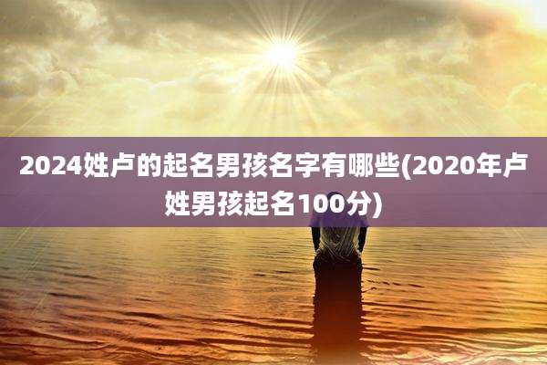 2024姓卢的起名男孩名字有哪些(2020年卢姓男孩起名100分)