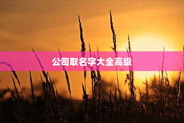 公司取名字大全高级