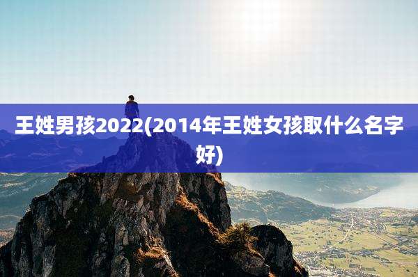 王姓男孩2022(2014年王姓女孩取什么名字好)
