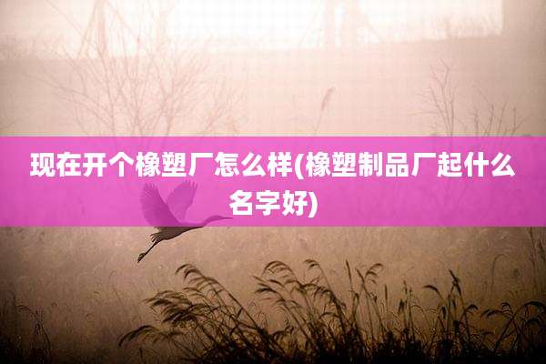 现在开个橡塑厂怎么样(橡塑制品厂起什么名字好)