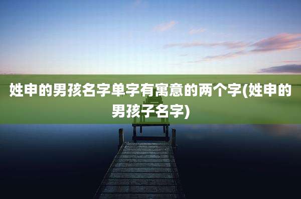 姓申的男孩名字单字有寓意的两个字(姓申的男孩子名字)