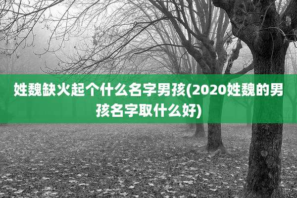 姓魏缺火起个什么名字男孩(2020姓魏的男孩名字取什么好)