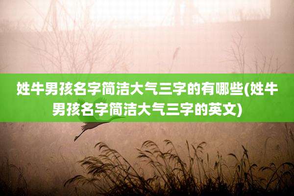 姓牛男孩名字简洁大气三字的有哪些(姓牛男孩名字简洁大气三字的英文)
