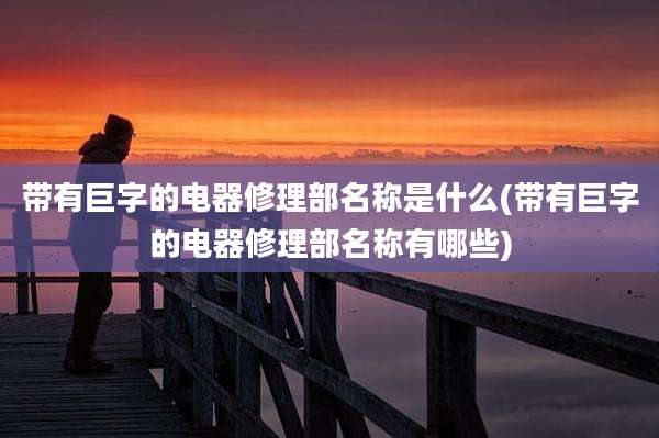 带有巨字的电器修理部名称是什么(带有巨字的电器修理部名称有哪些)