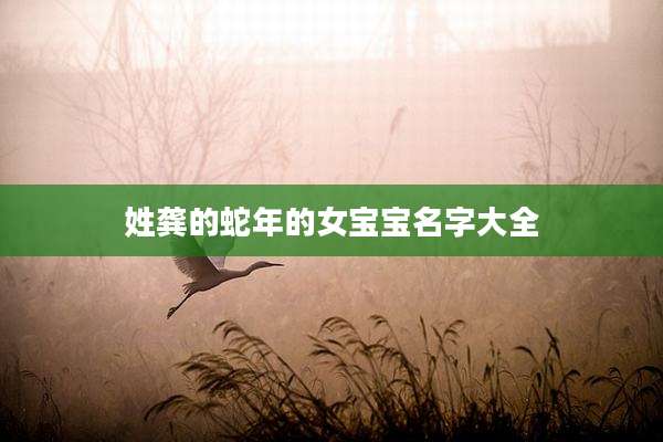 姓龚的蛇年的女宝宝名字大全