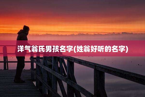 洋气翁氏男孩名字(姓翁好听的名字)