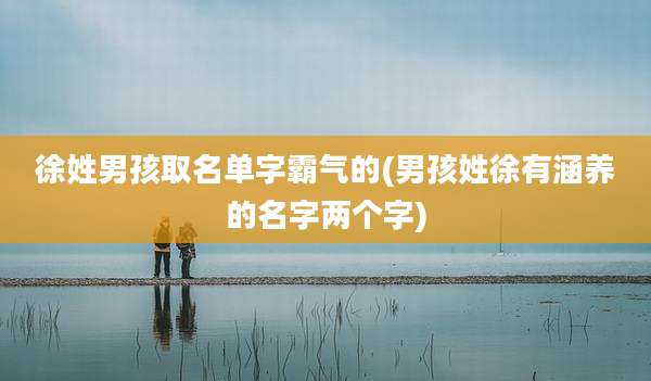 徐姓男孩取名单字霸气的(男孩姓徐有涵养的名字两个字)