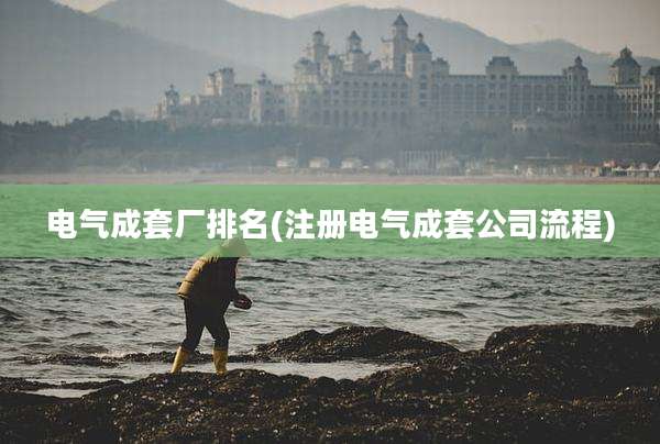 电气成套厂排名(注册电气成套公司流程)