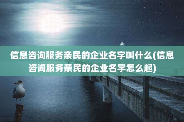 信息咨询服务亲民的企业名字叫什么(信息咨询服务亲民的企业名字怎么起)