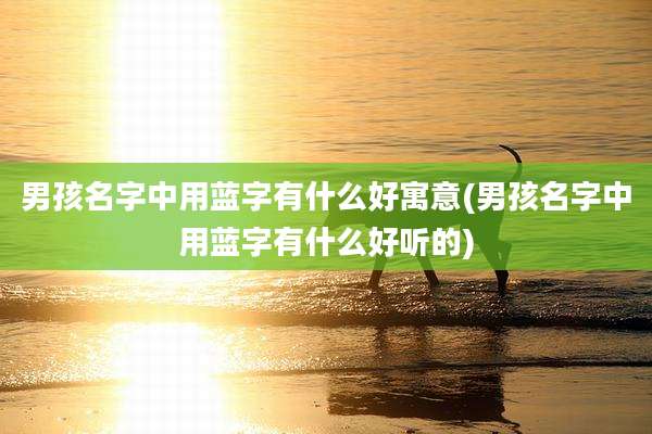 男孩名字中用蓝字有什么好寓意(男孩名字中用蓝字有什么好听的)
