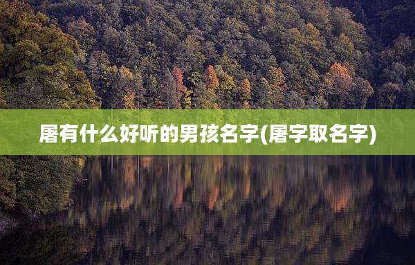屠有什么好听的男孩名字(屠字取名字)