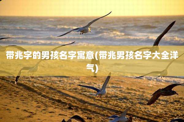 带兆字的男孩名字寓意(带兆男孩名字大全洋气)