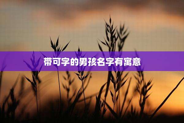 带可字的男孩名字有寓意