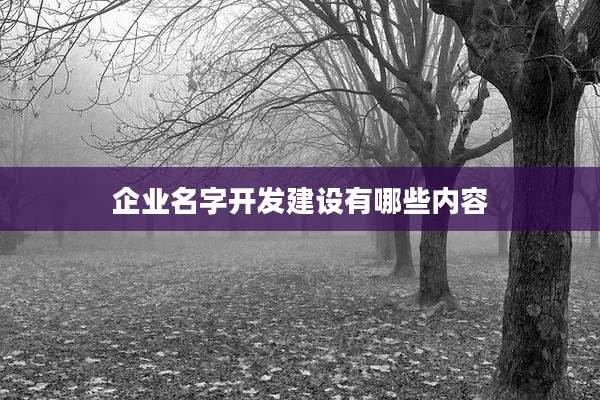企业名字开发建设有哪些内容