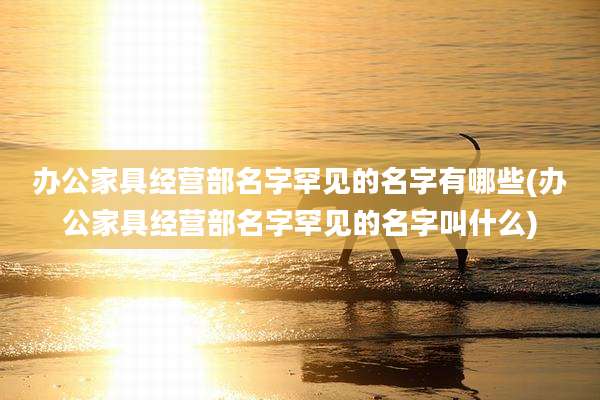 办公家具经营部名字罕见的名字有哪些(办公家具经营部名字罕见的名字叫什么)