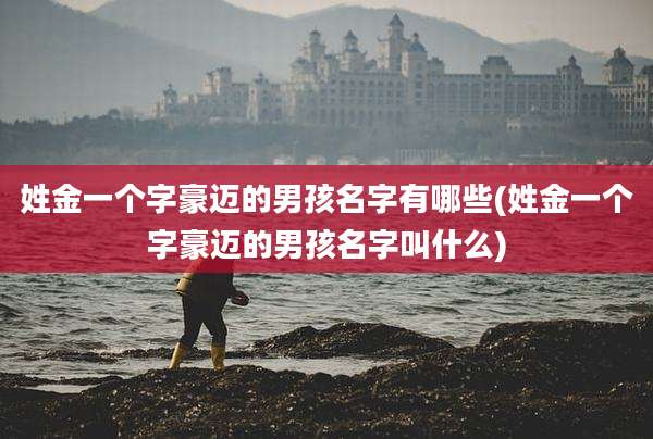 姓金一个字豪迈的男孩名字有哪些(姓金一个字豪迈的男孩名字叫什么)
