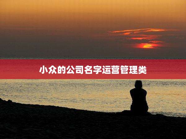 小众的公司名字运营管理类