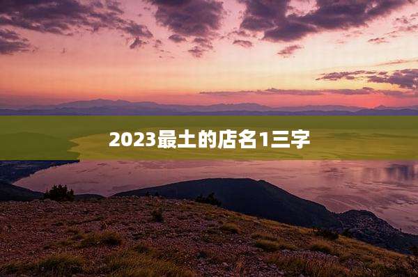 2023最土的店名1三字