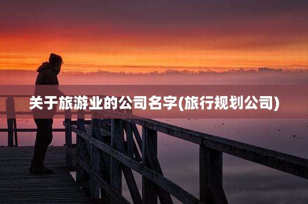 关于旅游业的公司名字(旅行规划公司)