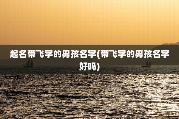 起名带飞字的男孩名字(带飞字的男孩名字好吗)