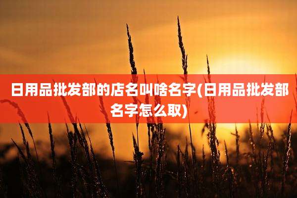 日用品批发部的店名叫啥名字(日用品批发部名字怎么取)