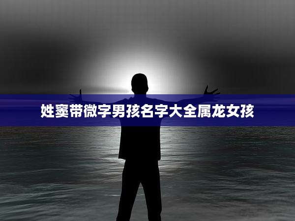 姓窦带微字男孩名字大全属龙女孩